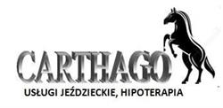 FIRMA JEŹDZIECKO USŁUGOWA CARTHAGO