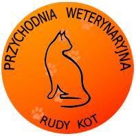 RUDY Kot