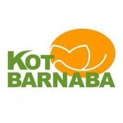 Kot Barnaba Anna Ewa Rutkowska