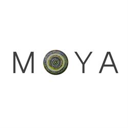 GALERIA MOYA