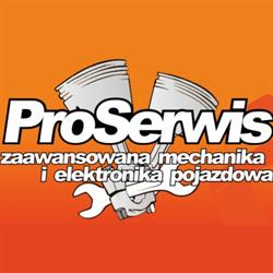 PRO SERVICE Daniel Trzeciak