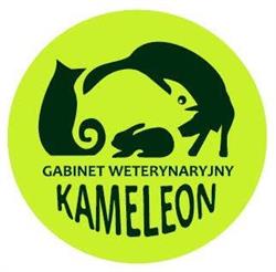 Gabinet Weterynaryjny Kameleon- obowiązują zapisy telefoniczne