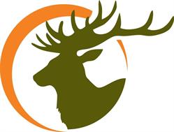 Biuro Polowań Hubert-Hunting