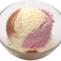 lody, mrożonki, przyprawy, wyroby garmażeryjne, gastronomia, zaopatrzenie, proszki do lodów