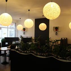 Pizzeria TORINO