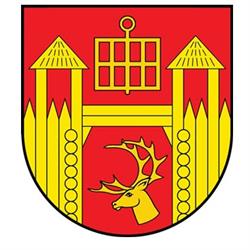 GMINA ŁOMŻA