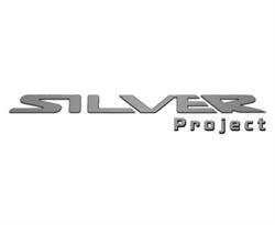 Silver Project