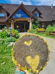 Anna PAWLAK GOSPODARSTWO AGROTURYSTYCZNE ""WILCZA JAMA""