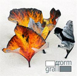 GRAFFORM STUDIO GRAFICZNO WYDAWNICZE