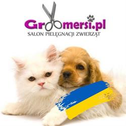GROOMERSI.PL BEATA MICHAŁEK