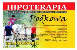 HIPOTERAPIA PODKOWA