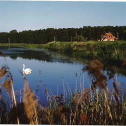ANNA CICHOCKA HOTEL "GOŚCINIEC WYRWIDĄB"