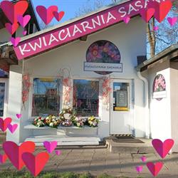 Kamil Kuchnicki Kwiaciarnia SASANKA, Hurtownia Kwiatów