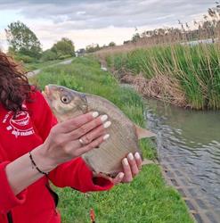 KONGO SKLEP WĘDKARSKO ZOOLOGICZNY