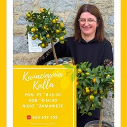 KWIACIARNIA KALLA