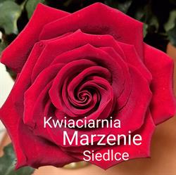 KWIACIARNIA MARZENIE
