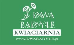 Kwiaciarnia Dwa Badyle Renata Głowacka