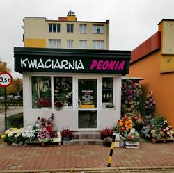 Kwiaciarnia "Peonia" Marzena Zasuwa