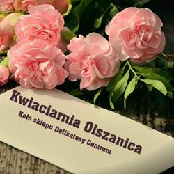 Kwiaty w Olszanicy