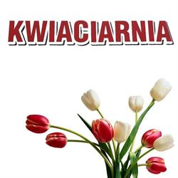 KWIACIARNIA KARDAS MICHAŁ KARDAS