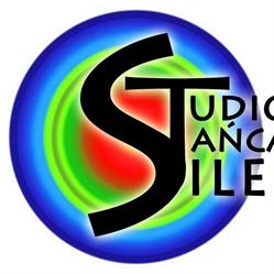 STUDIO TAŃCA SILESIA