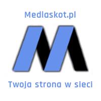 Mediaskot