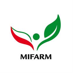 MIFARM WIECH MICHAŁ ANTONI
