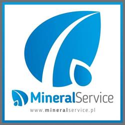 MINERAL SERVICE