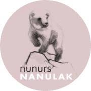 Niepubliczny Punkt Przedszkolny NANULAK brak