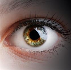 Optyk - Optometrysta