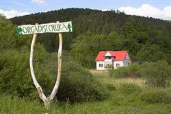 ORGANISTÓWKA