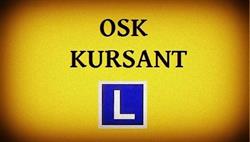 OŚRODEK SZKOLENIA KIEROWCÓW KURSANT FIRMA HANDLOWO USŁUGOWA
