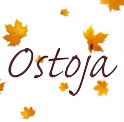 OŚRODEK OPIEKUŃCZY OSTOJA