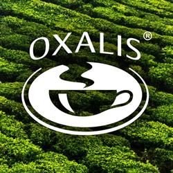 Oxalis Polska Paweł Winiarski