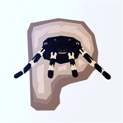 PINOTERRA