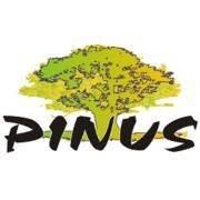 PINUS