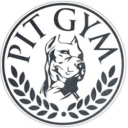 PIT GYM KLUB FITNESS ELŻBIETA RZADKIEWICZ