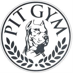 PIT GYM KLUB FITNESS ELŻBIETA RZADKIEWICZ