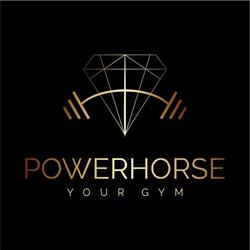 POWERHORSE GYM