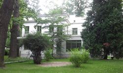 "Kolonia artystyczna" Mirosława Walczykowska