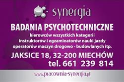 PRACOWNIA BADAŃ PSYCHOLOGICZNYCH I TERAPII SYNERGIA