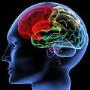 lekarz neurolog, neurolog, neurologia, padaczka