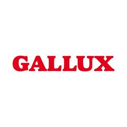 Gallux Plus. Odzież damska- P.H. Maxim
