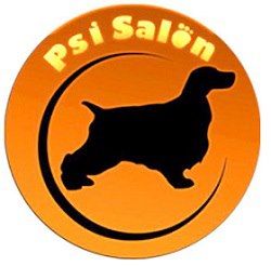 PSI SALON