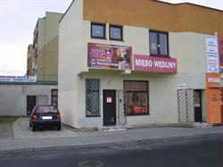 PSI SALONIK "NIKI" ELŻBIETA ZDULSKA