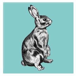 RABBIT STUDIO
