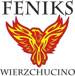 SALON ODNOWY BIOLOGICZNEJ FENIKS