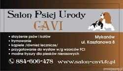 Salon Psiej Urody CAVI Monika Matusiak