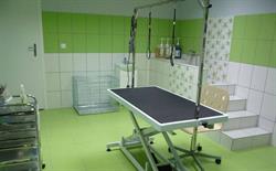 Salon Pielęgnacji Zwierząt Marzena Murawska-Tomczak