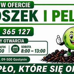 SKŁAD OPAŁU POLSKI WĘGIEL